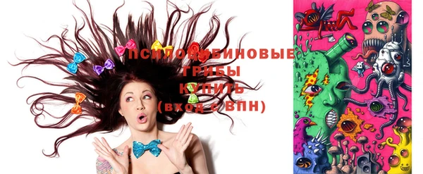 стафф Заволжск