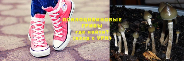 стафф Заволжск
